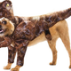 Image for article titled The first Jurassic World photos have everything you love about Jurassic Park, except dinosaurs